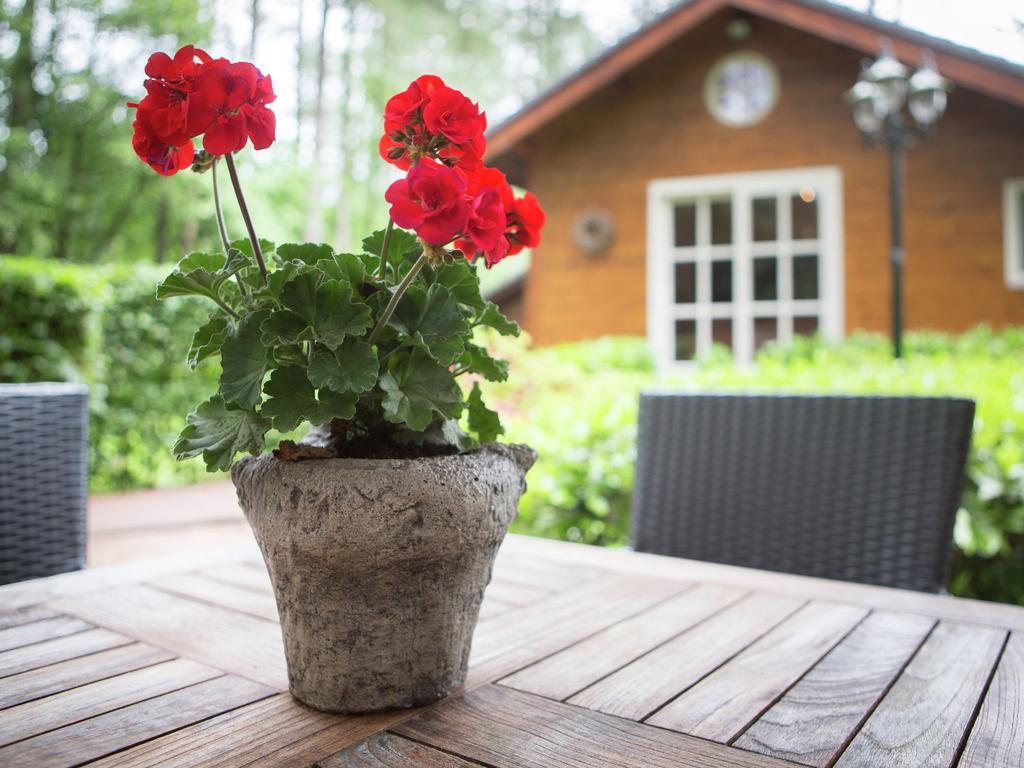 Luxurious Chalet In Oud Turnhout With Large Garden Villa Oud-Turnhout Ngoại thất bức ảnh
